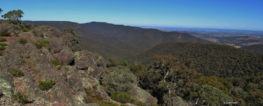 Windburndale Reserve