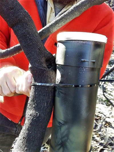 Placing a tube on a tree